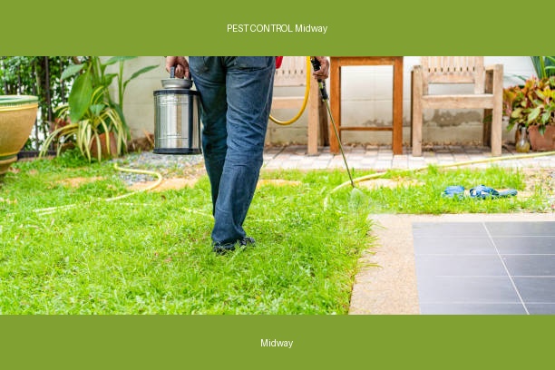PEST CONTROL Midway